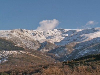 Canchal de la Ceja (2428 m)
