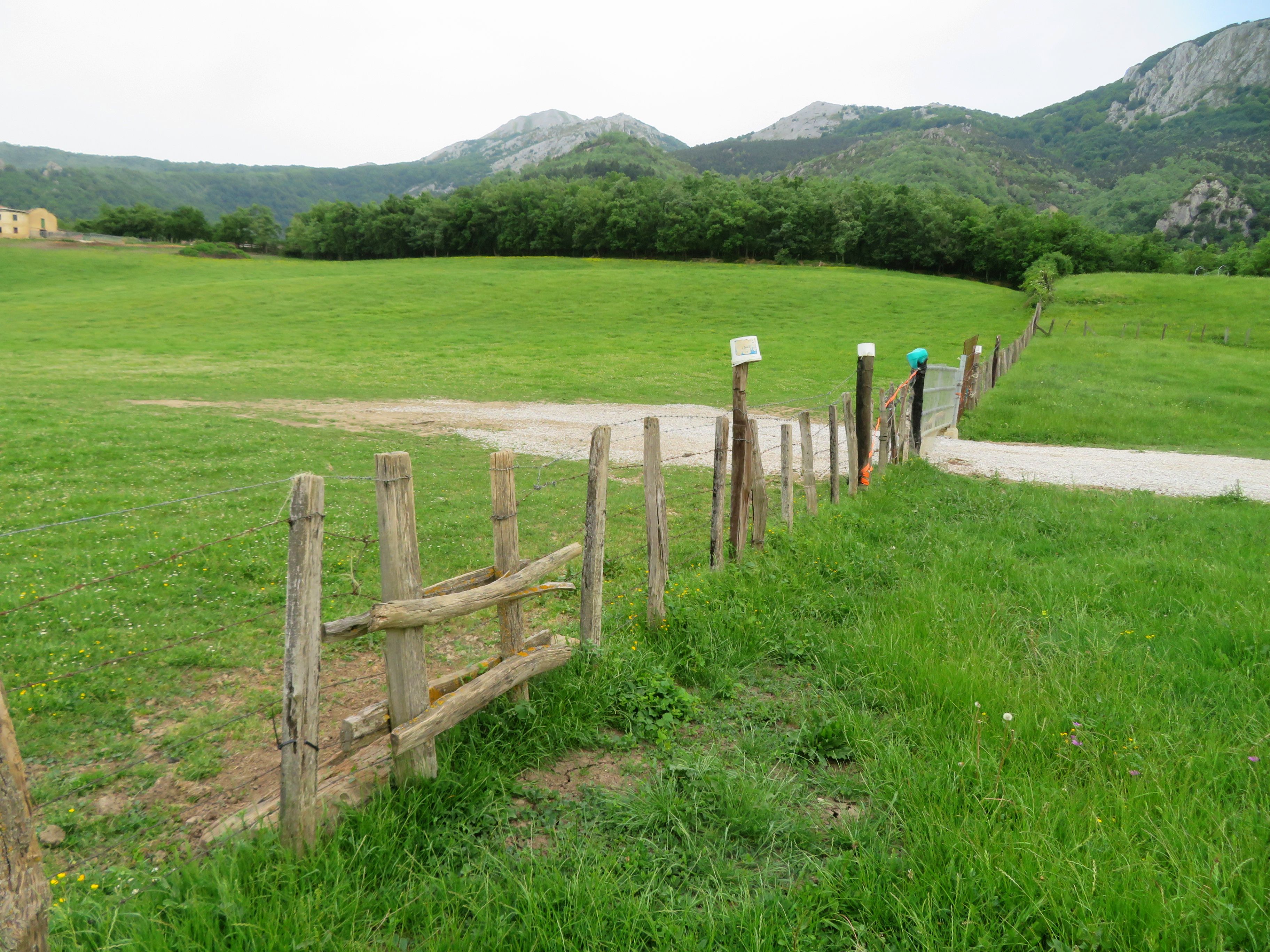 Mendikat → Menzabal (665 m) → Pasos en la alambrada en la pradera bajo