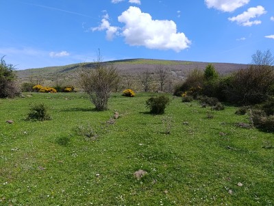 Venta Quemada (1442 m)