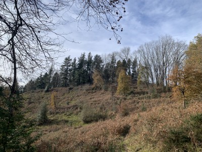 Las Canteras (567 m)