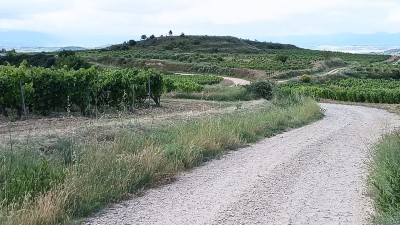 San Román (543 m)