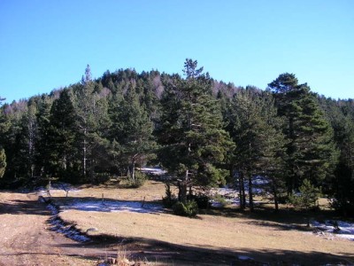 Serrat Negre (1781 m)
