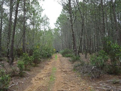 São Mamede (1027 m)