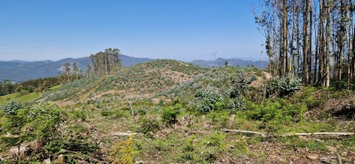 Los Llanos, Alto de (372 m)