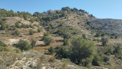 Sant Miquel (272 m)