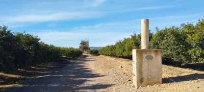 Muela de Pota (253 m)