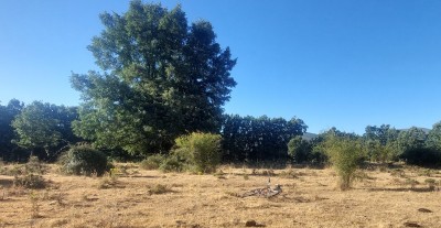 Las Gándaras (1092 m)