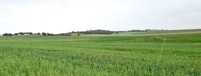La Atalaya (912 m)