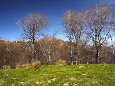 Oxogorrigagne (1260 m)