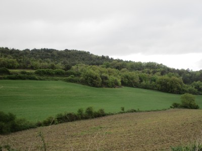 San Miguel (667 m)