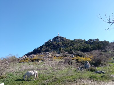 Picacho (1217 m)