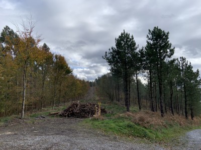 Arkotxamendi (417 m)