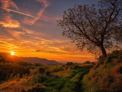 Hoyo Arciso, Monte del (872 m)