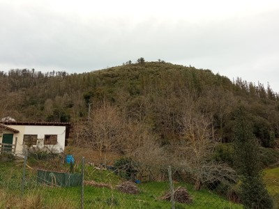 Arraistako Gaina (266 m)