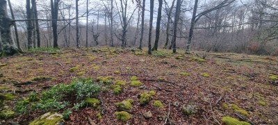 Los Caleros (1032 m)