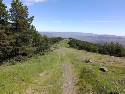 Cerro, Alto del (1328 m)