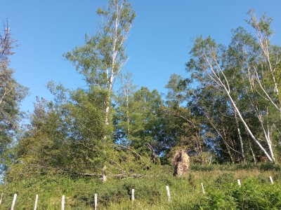 Madarizelaigaña (679 m)