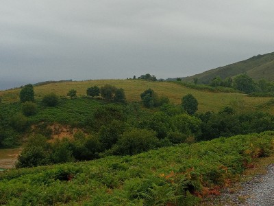 Gaintzabal (250 m)