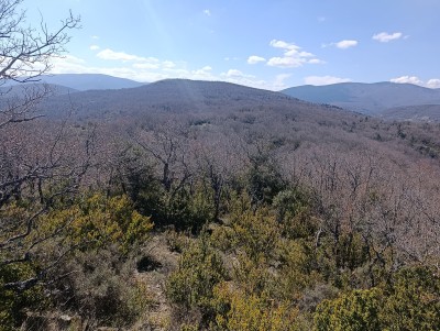 Cabezuelas Norte, Las (1081 m)