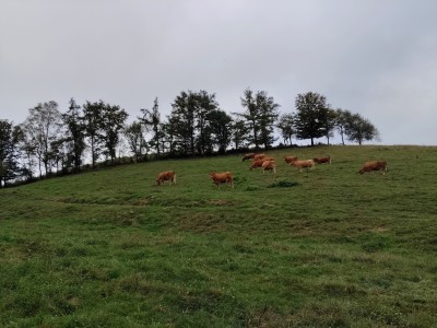 Munarain (570 m)