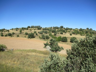 Castillejos, Alto de los (1103 m)