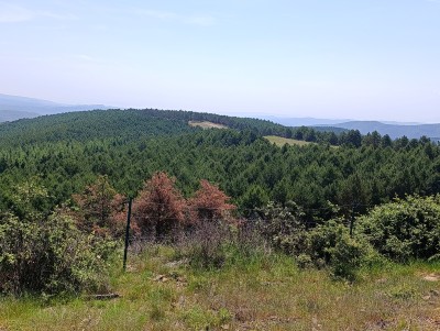 Porrero, Alto de (1214 m)