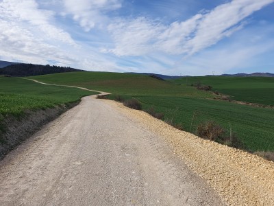 Frankoain (483 m)