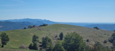 Puifonguera (1306 m)
