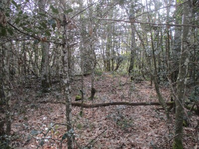 Cerroalto (807 m)