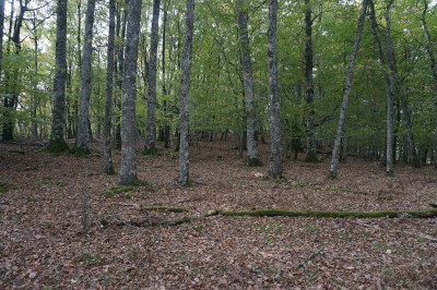 Antzarruiburu (643 m)