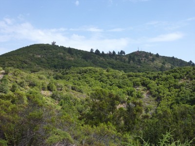 Garajonay (1484 m)