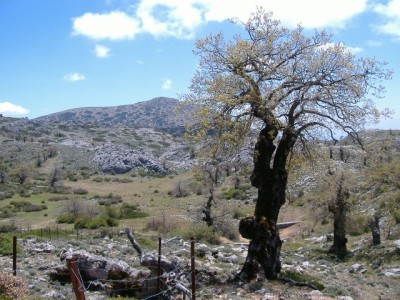 Torrecilla (1918 m)