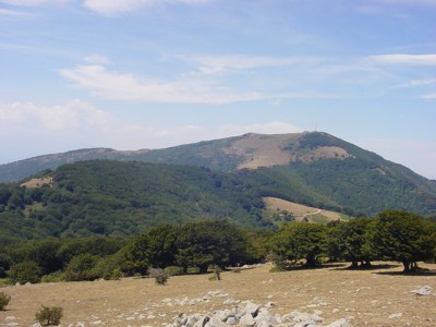 Neulós (1257 m)