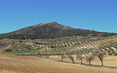 Alta Coloma (1696 m)