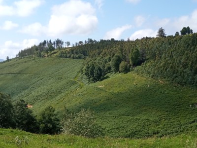 Etxaubegaña (620 m)