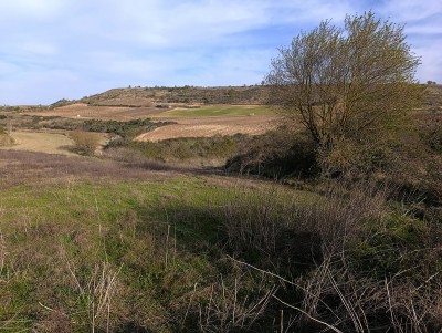 Cerro, Llano del (507 m)
