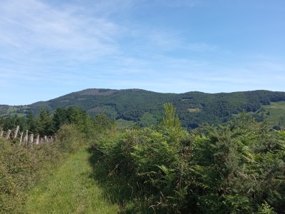 Saltaleku (436 m)