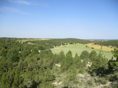 Palo, Loma del (1136 m)