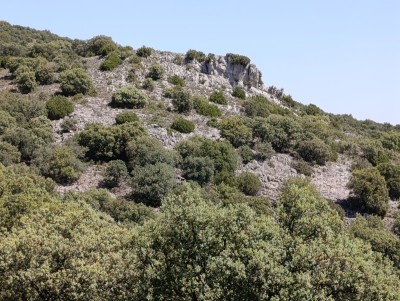 Brezal, Alto del (1139 m)