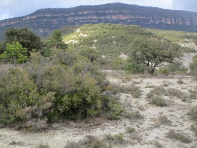 Casquetas, Las (687 m)