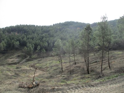 Almendro, Alto del (681 m)