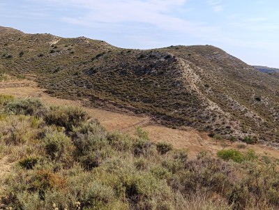 Coronas, Cerro (785 m)