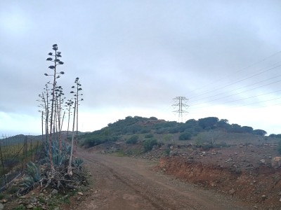 Montañeta de Los Perdigones (432 m)