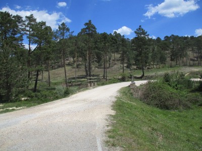 Cabeza Rebollo (1201 m)