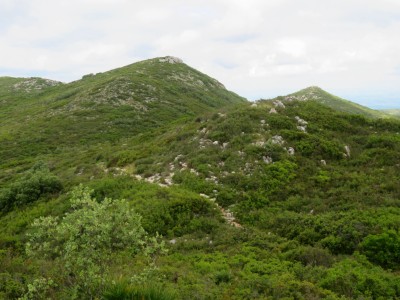 Alt dels Tres Cocons (592 m)