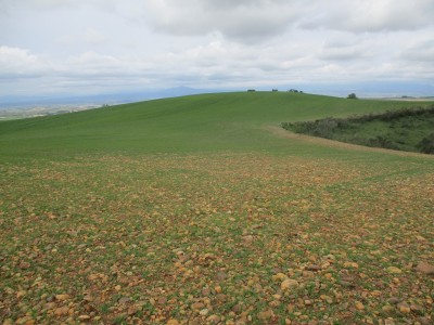 Cerro Negro (799 m)