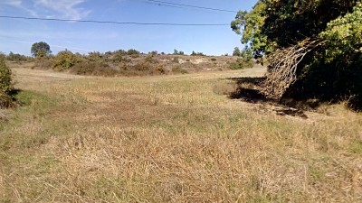 Alto de la Fuente (550 m)