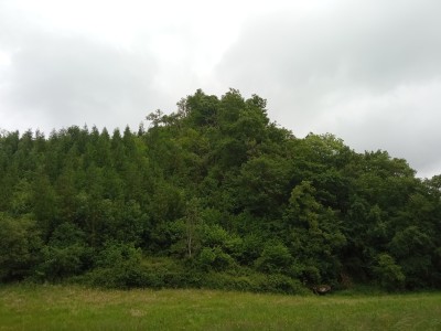 Bordabeko Harkaitza (169 m)