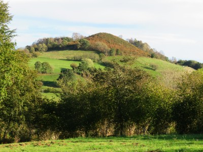 Cotariella, La (485 m)