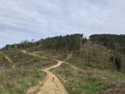 San Martín (302 m)